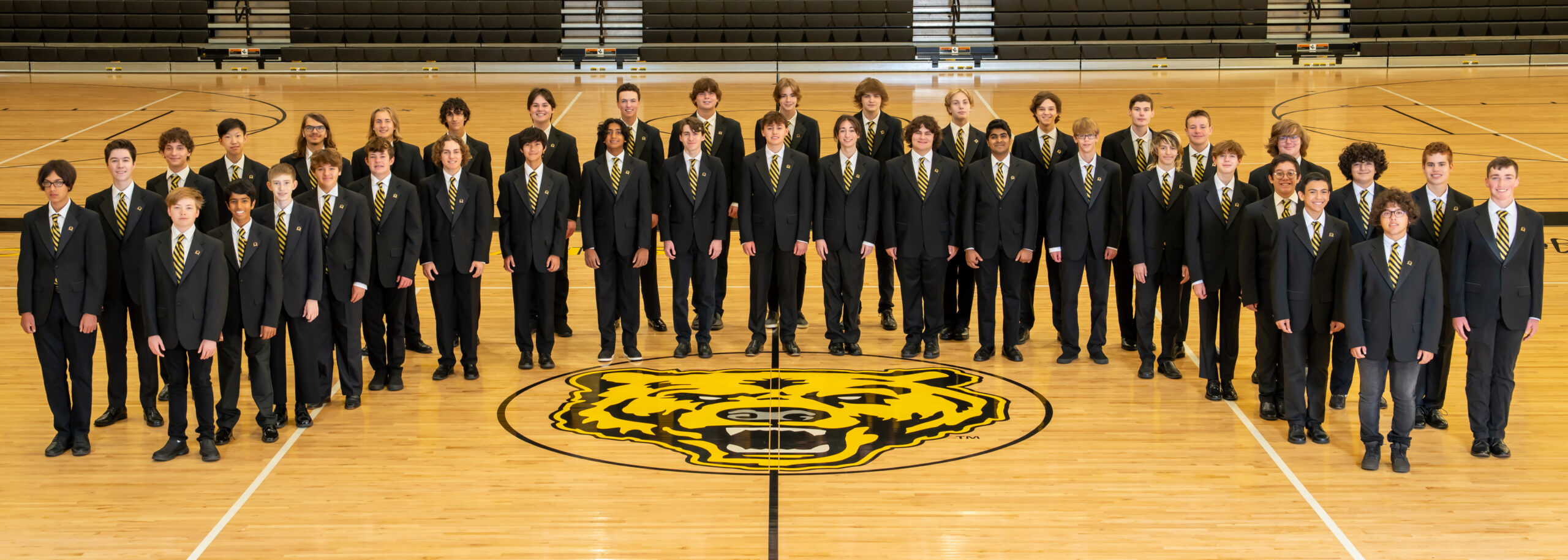 Camerata ensemble